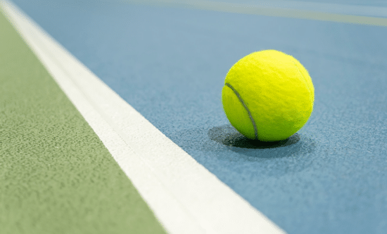 Paddle Tennis Court