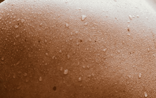 Steam Room