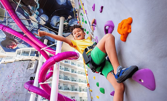 Rock Climbing Wall