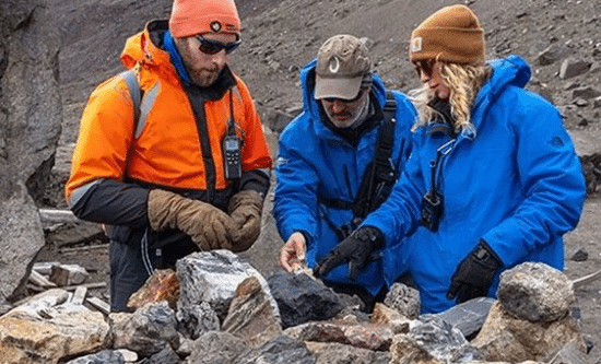 Specialist Discovery Team