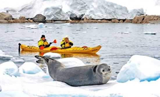 Scenic Discovery – Antarctica