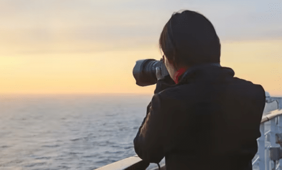 Professional Photographer​